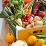 Essential Nutrients in Vegetarian Diet